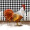 Morning Rooster I Poster Print by Dan Meneely - Item # VARPDX8874F